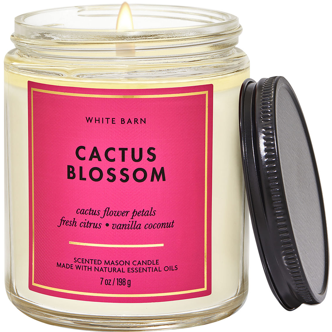 Cactus Blossom Signature Single Wick Candle - White Barn