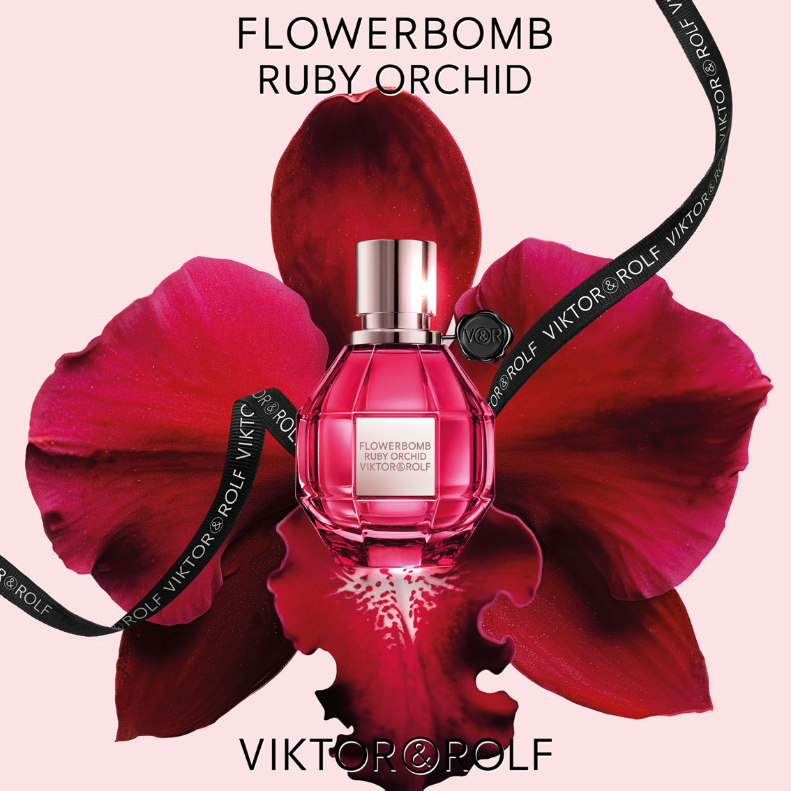 Viktor & Rolf Flowerbomb Ruby Orchid Eau de Parfum Spray - Image 4 of 5