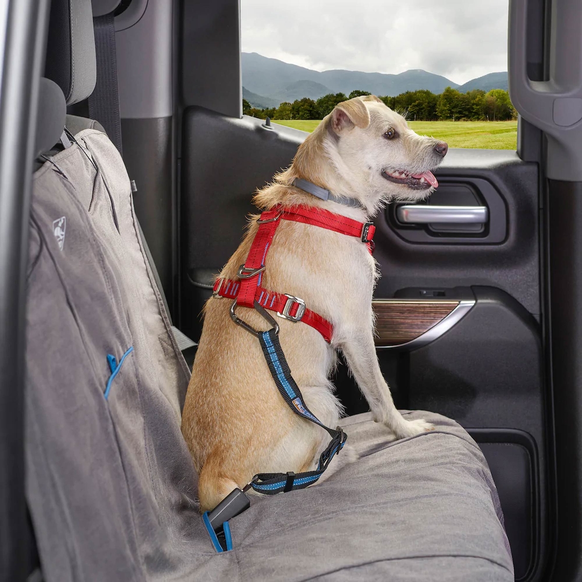 Kurgo Direct to Seat Belt Tether for Dogs - Image 2 of 3