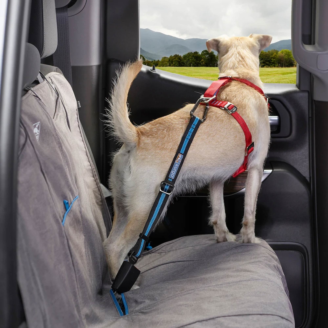 Kurgo Direct to Seat Belt Tether for Dogs - Image 3 of 3