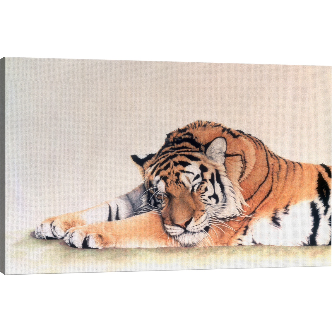 Inkstry Sleeping Tiger Wrapped Giclee Art - Image 2 of 3