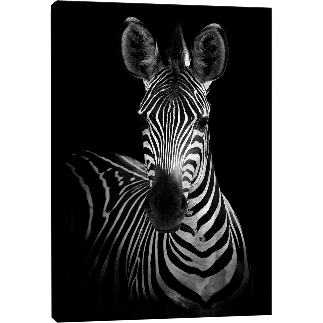 Inkstry Zebra Canvas Wrapped Giclee Art - Image 2 of 3
