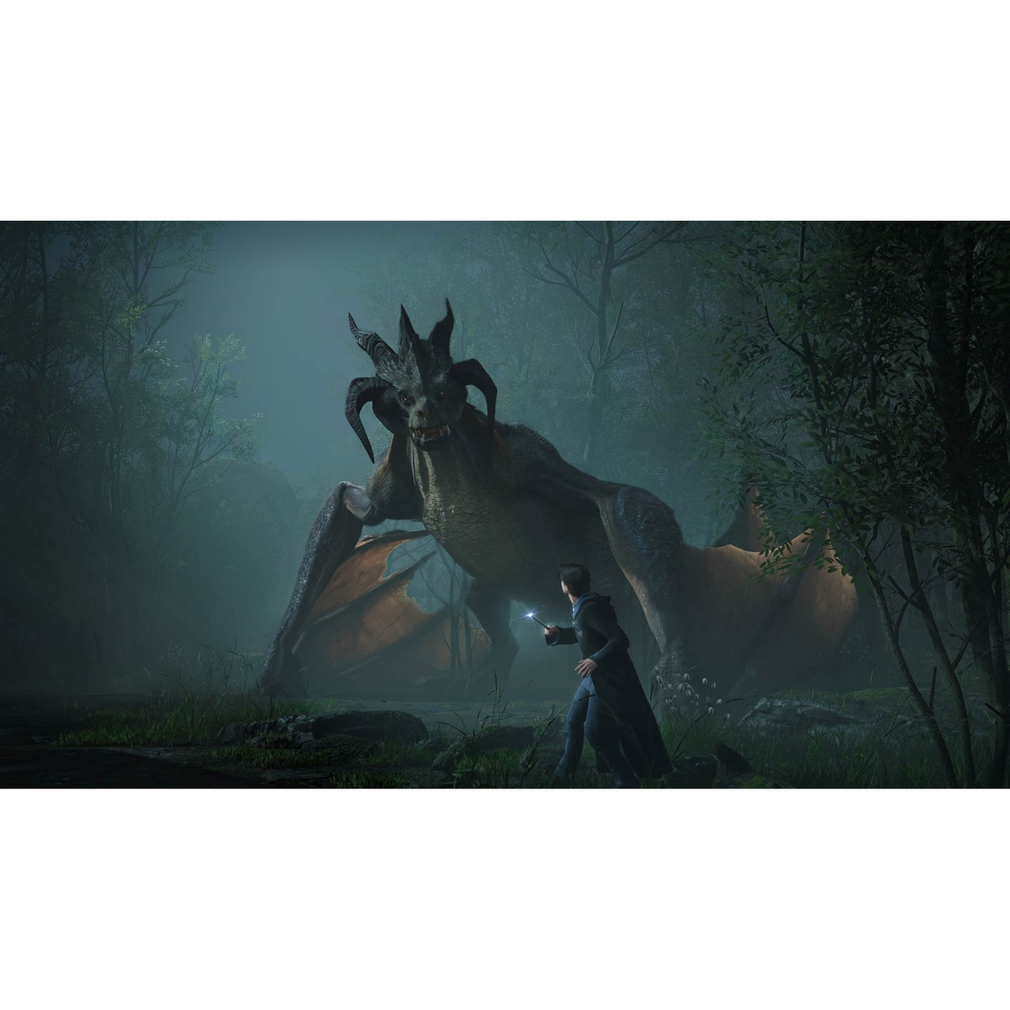 Hogwarts Legacy (Xbox SX) - Image 9 of 10