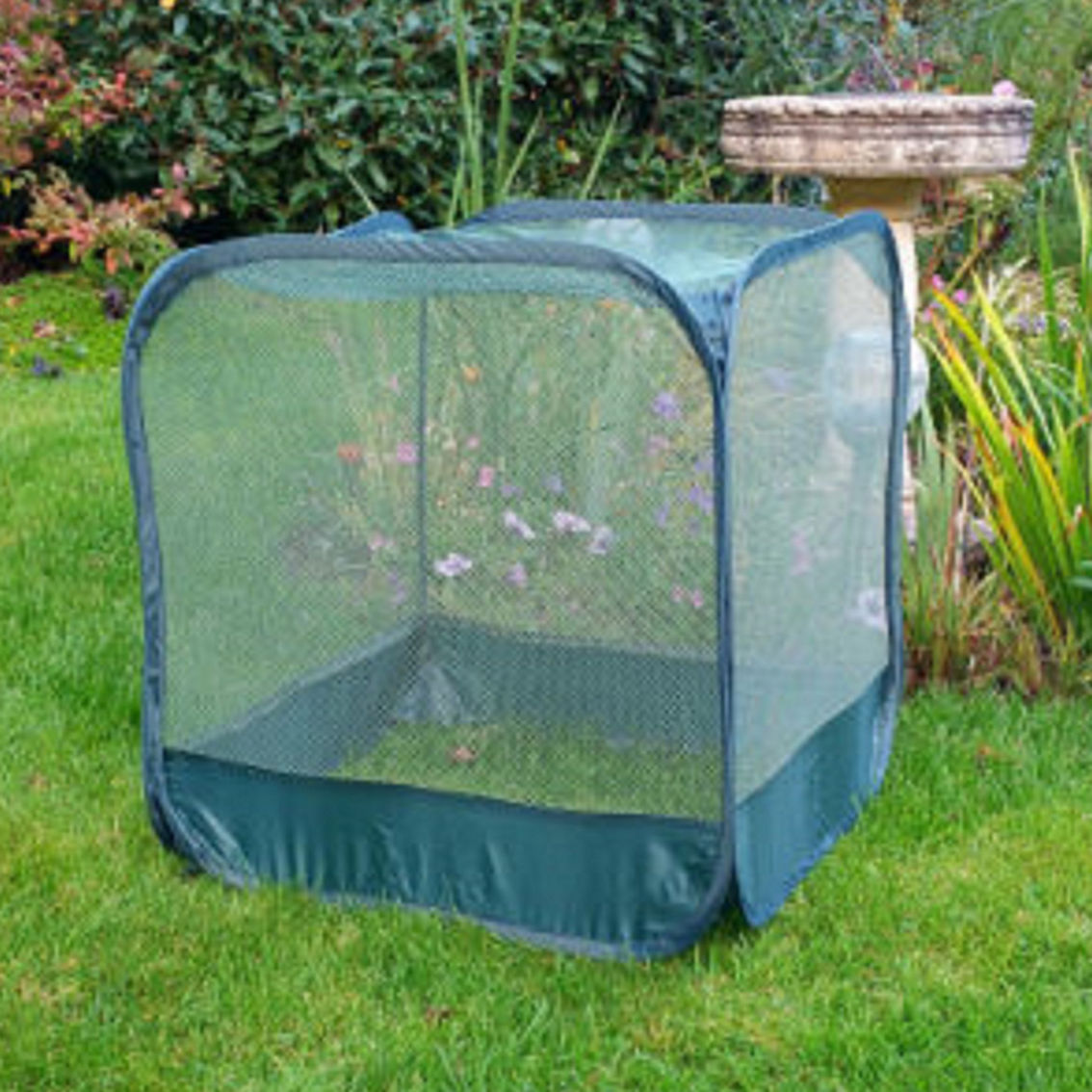 Bosmere Nylon Pop-Up Insect and Pest Protection Plant Cage - Image 2 of 2