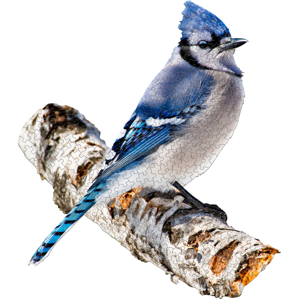 Madd Capp: I Am Blue Jay 300 pc Puzzle - Image 3 of 4