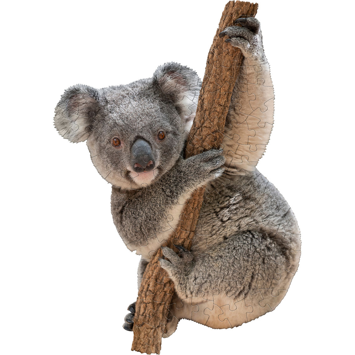 Madd Capp Jr I Am Lil' Koala 100 pc. Puzzle - Image 3 of 7