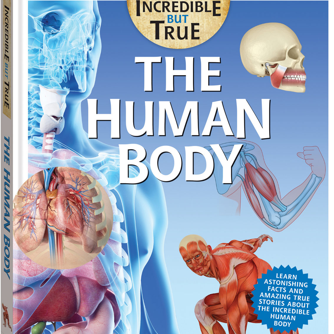 Incredible But True: The Human Body Hardcover Book - Image 2 of 5
