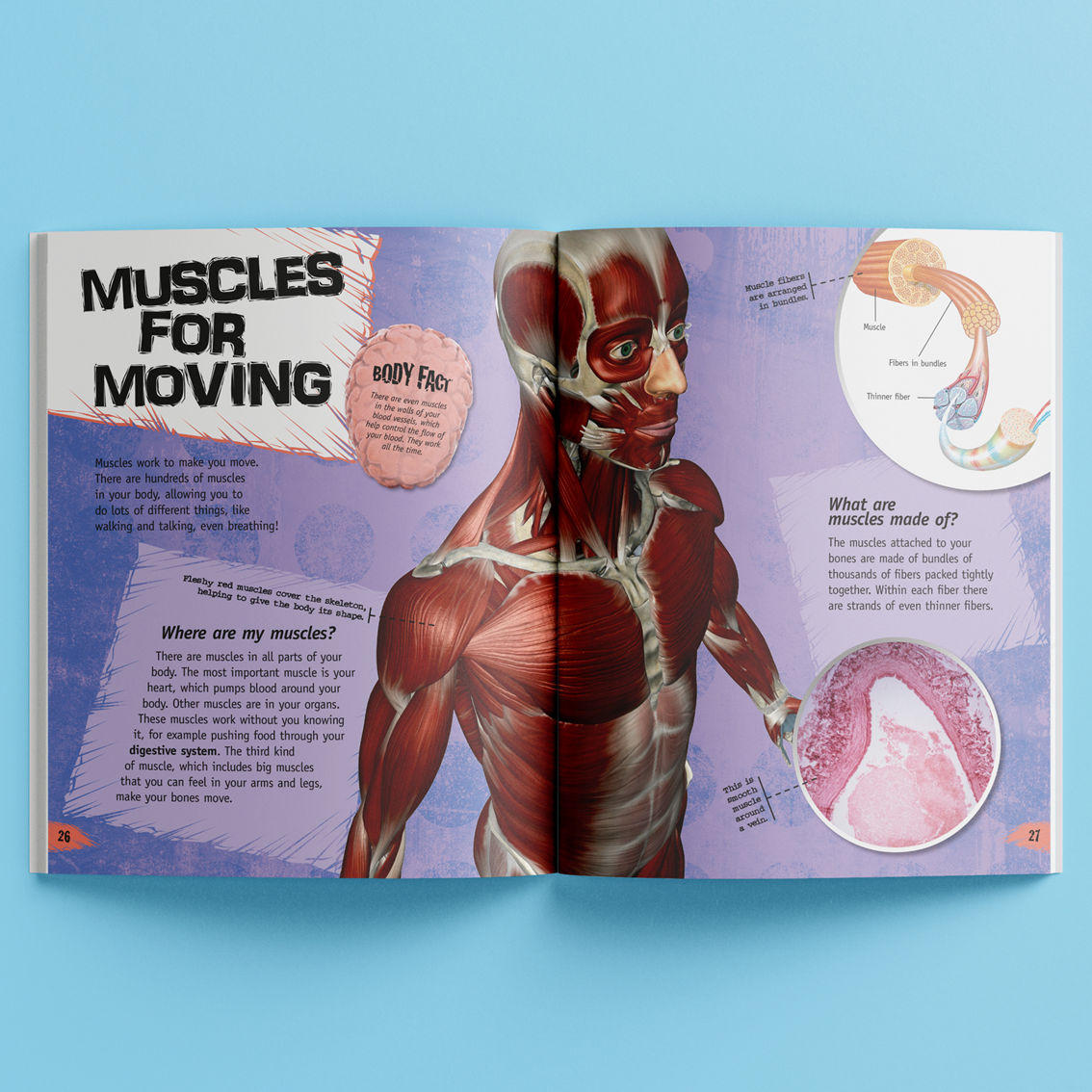 Incredible But True: The Human Body Hardcover Book - Image 3 of 5