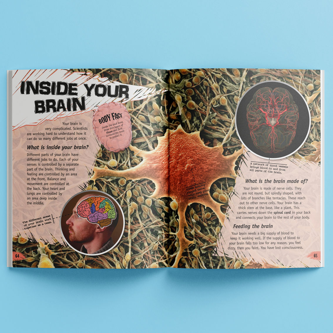 Incredible But True: The Human Body Hardcover Book - Image 4 of 5