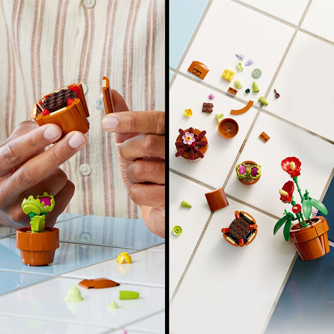 LEGO Icons Tiny Plants 10329 - Image 8 of 10