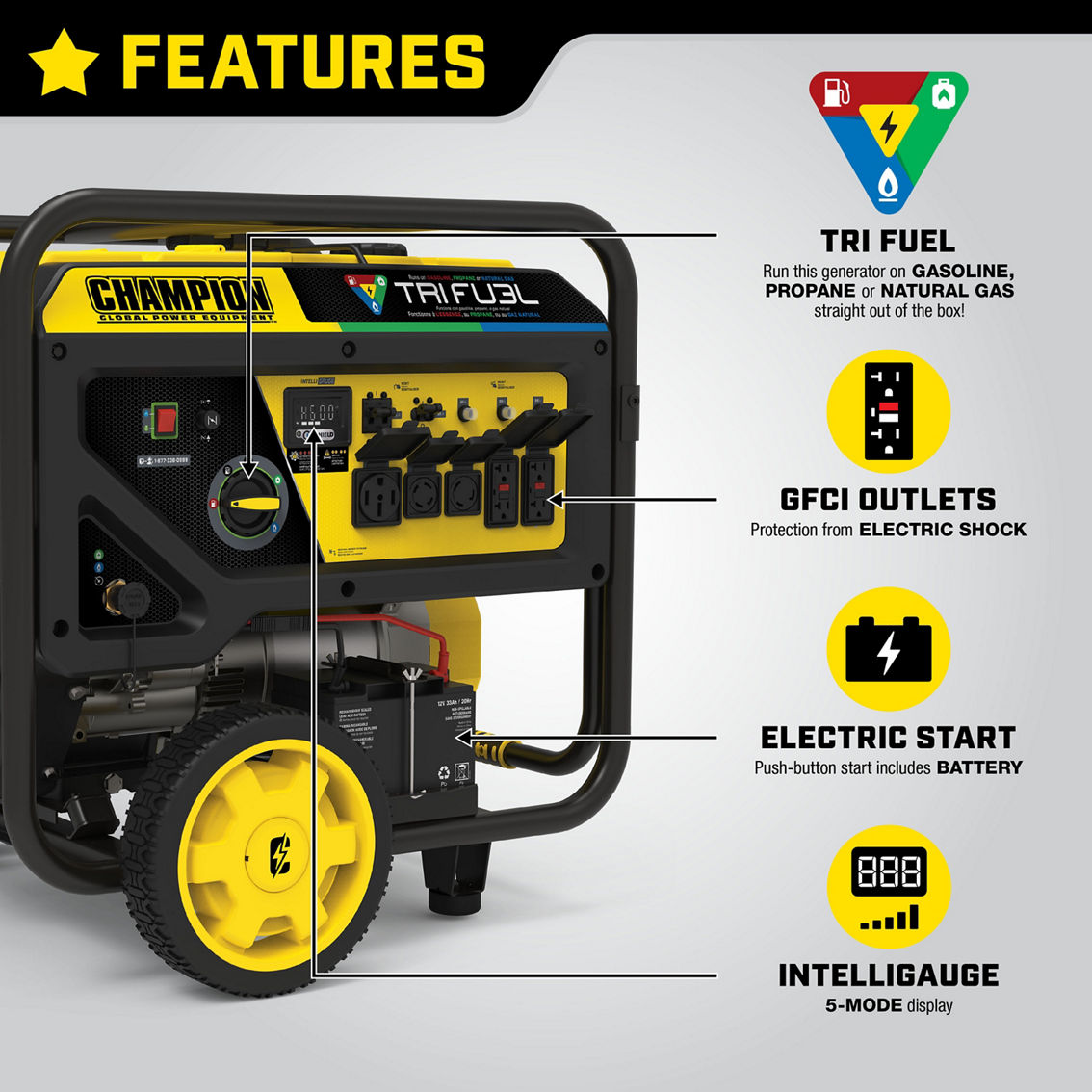 Champion 12,000W Tri Fuel Portable Generator with Electric Start and CO Shield - Image 9 of 10