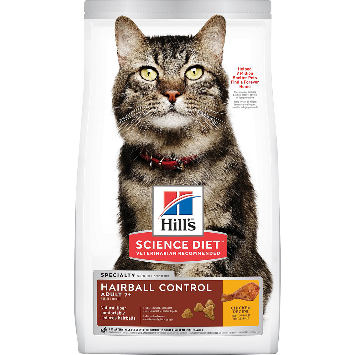 The 10 Secrets You Will Never Know About Best Dry Cat Food For