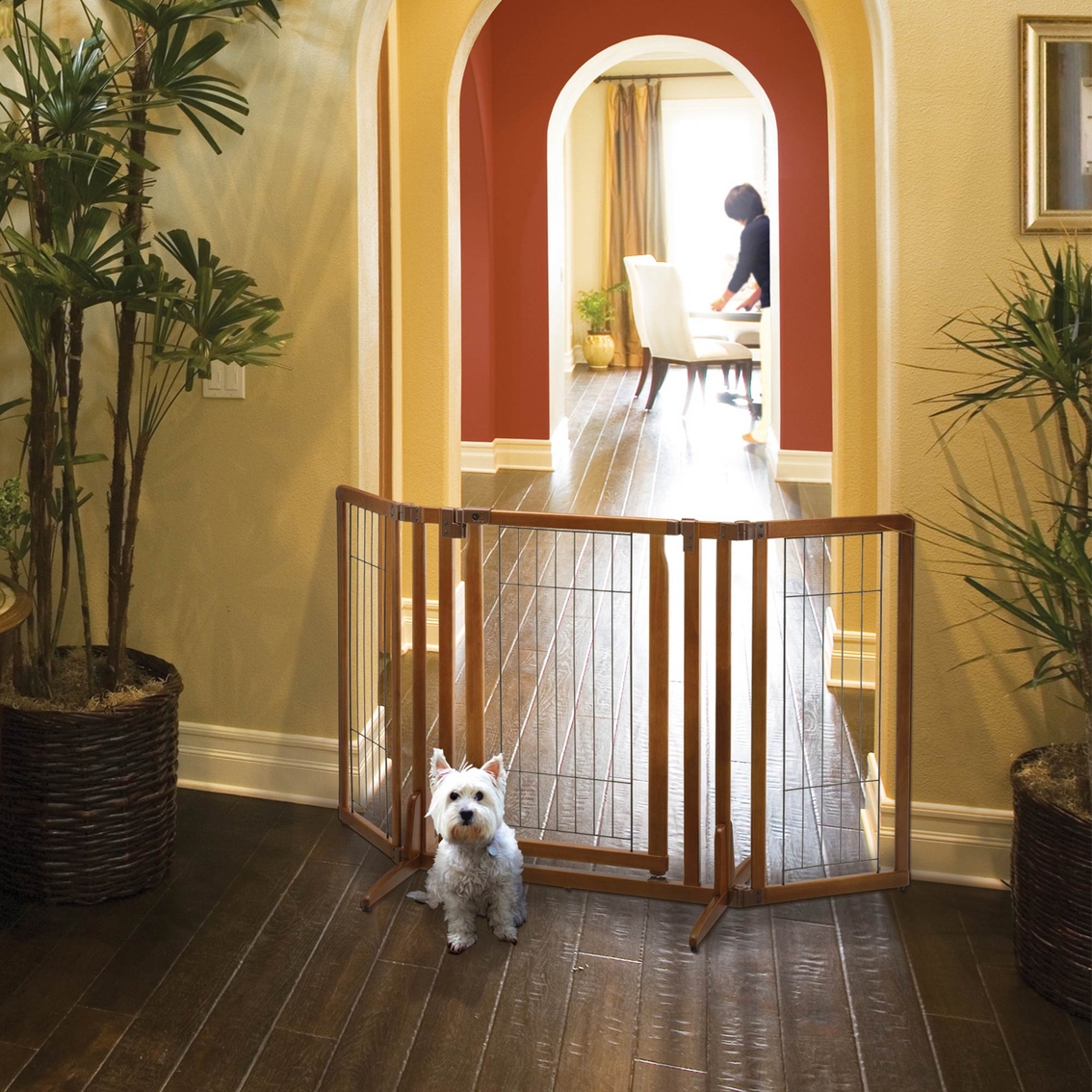Richell Premium Plus Freestanding Pet Gate With Door - Image 5 of 5