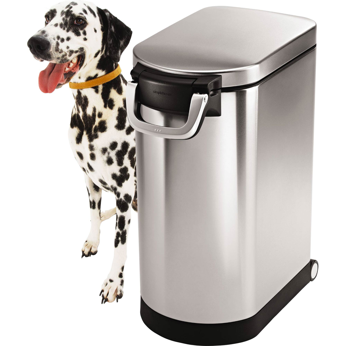 large dog food container