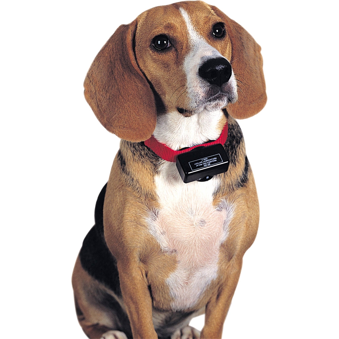 PetSafe Basic Bark Collar - Image 3 of 3