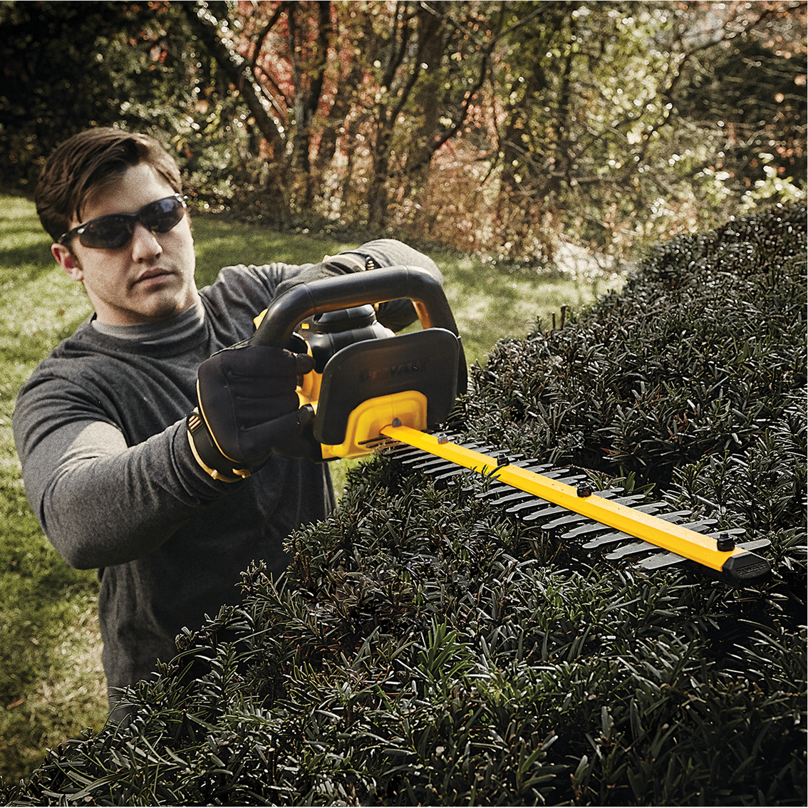 20V MAX* Lithium Ion Hedge Trimmer (5.0Ah)