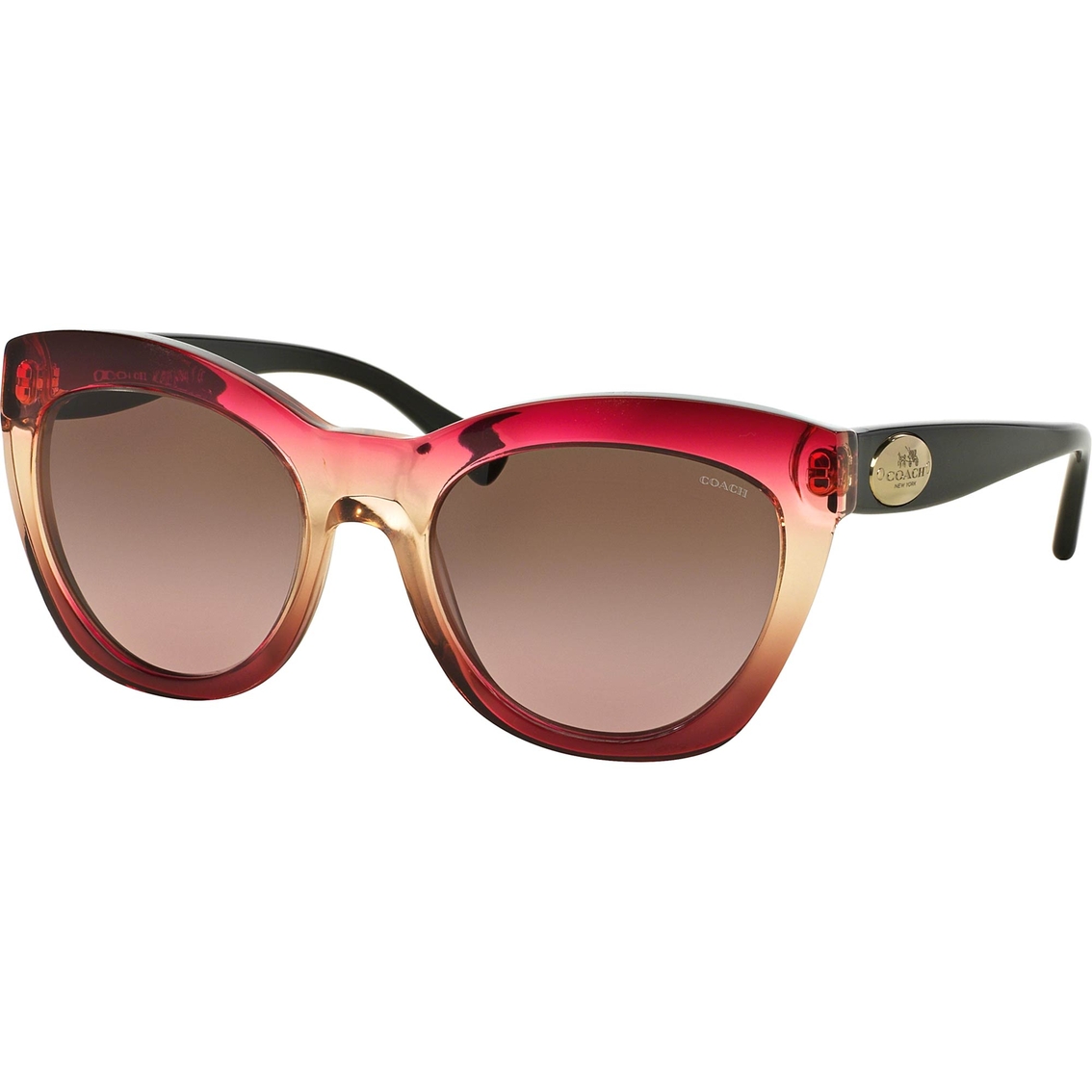 Coach Sunglasses 0hc8151 | Women's Sunglasses | Handbags & Accessories ...