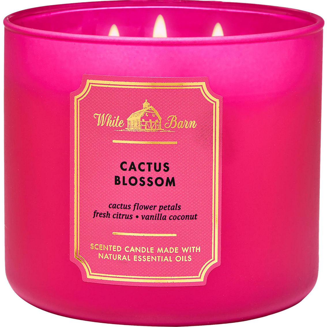 Bath & Body Works Cactus Blossom 3 Wick Candle, Candles & Home Fragrance, Household