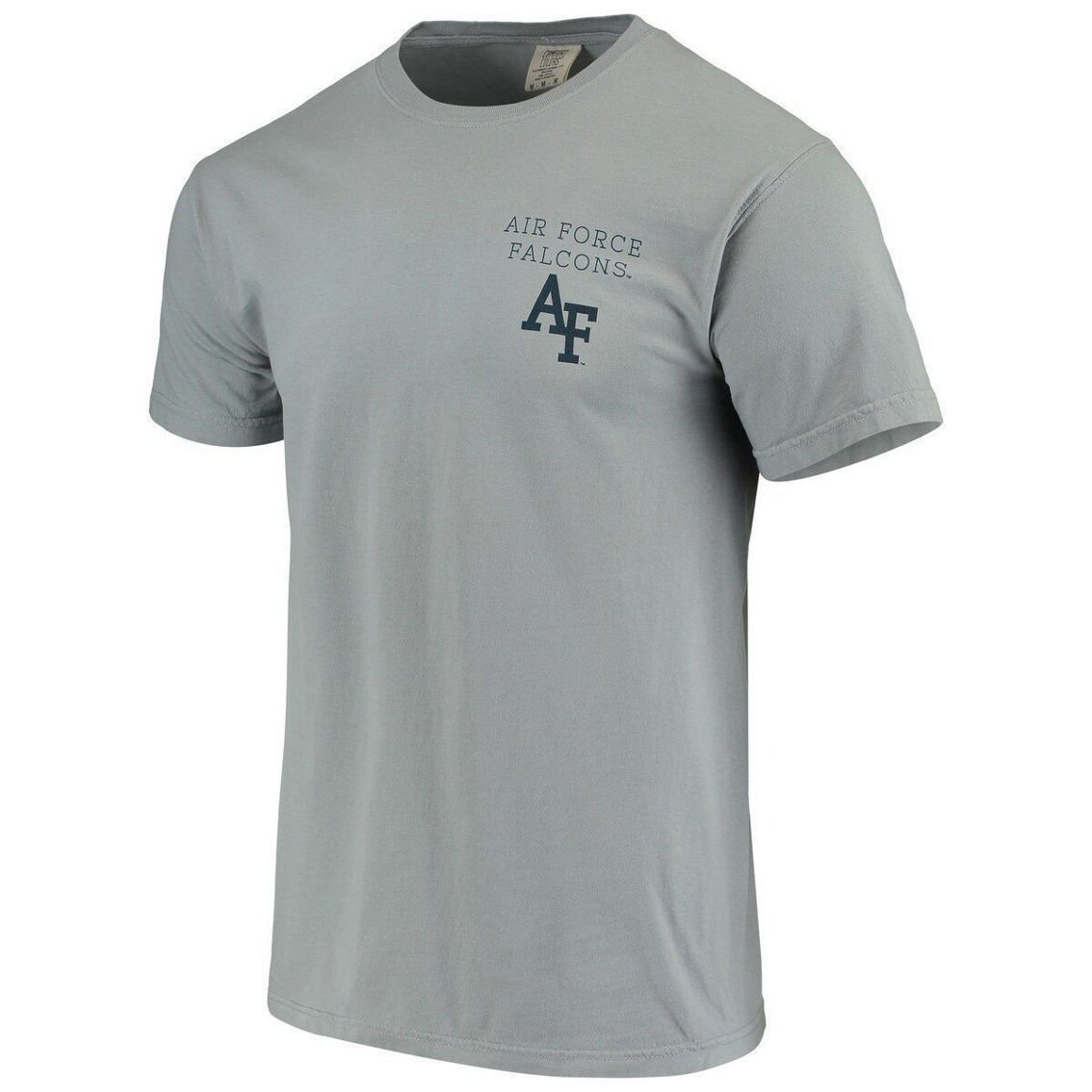 Image One Men's Gray Air Force Falcons Team Comfort Colors Campus Scenery T-Shirt - Image 3 of 4
