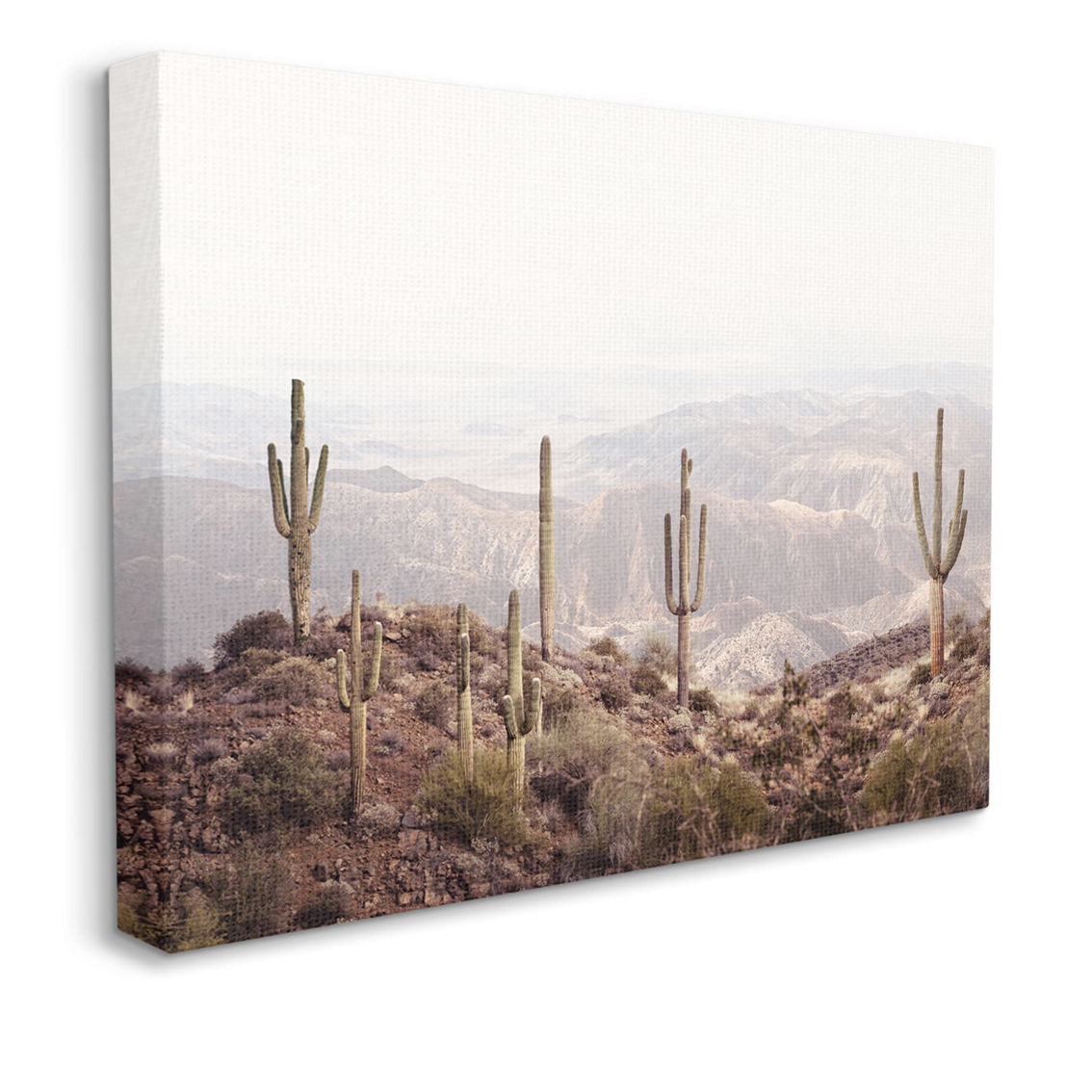Stupell Canvas Wall Art Cacti Overlooking Desert, 24 x 30 - Image 3 of 5