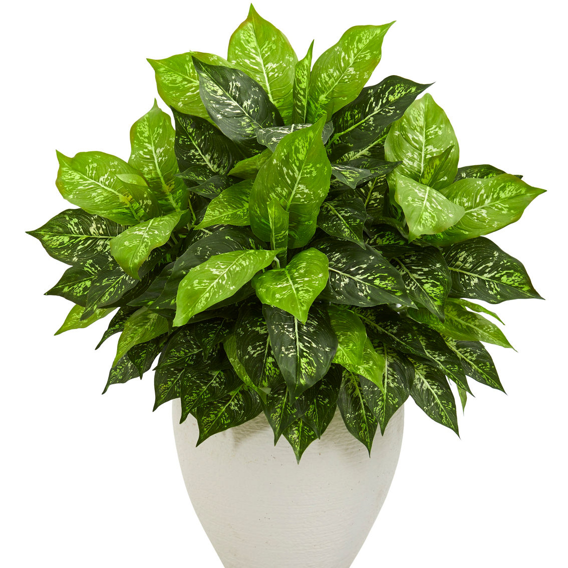 Nearly Natural Dieffenbachia Artificial Plant in White Planter - Image 2 of 2