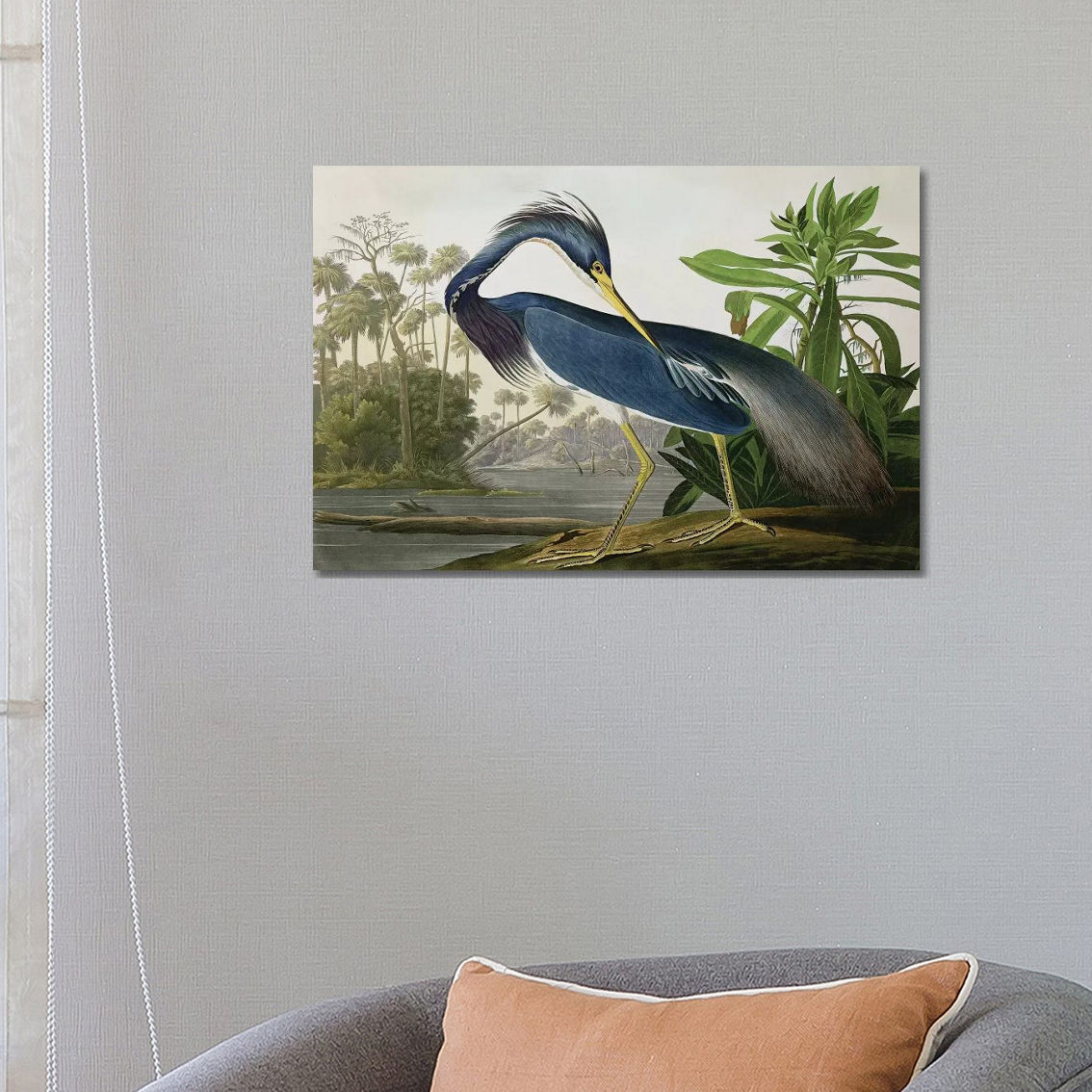 Louisiana Heron Coastal Birds Stylish Art by John James Audubon - Large Art - Image 2 of 2