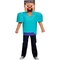 Morris Boys Minecraft Steve Classic Costume - Image 1 of 2