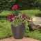 Suncast Chariton Decorative Planter, 2 Pk. - Image 3 of 3