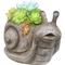 Alpine Solar Succulents Snail Statue with LED Lights - Image 1 of 3