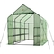 Ogrow Very Spacious and Sturdy Walk In 2 Tier 12 Shelf Portable Garden Greenhouse - Image 1 of 3