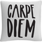 Trademark Fine Art Typographic Modern Carpe Diem Stripes Decorative Throw Pillow - Image 1 of 3