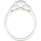 Endless Diamonds 14K White Gold 3/4 CTW Diamond Engagement Ring - Image 4 of 4