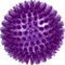 Leaps & Bounds Romp and Run Spiny Ball Dog Toy - Image 2 of 5