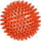 Leaps & Bounds Romp and Run Spiny Ball Dog Toy - Image 3 of 5