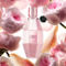 Viktor & Rolf Flowerbomb Dew Eau De Parfum Spray - Image 3 of 3