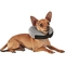 Well & Good Inflatable Collar for Pets - Image 1 of 10