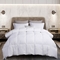 Martha Stewart Collection White Goose Feather and Down Comforter - Image 1 of 4