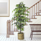 LCG Florals 72 in. Ficus Tree in Basket - Image 2 of 2