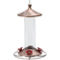 Perky-Pet Elegant Copper Glass Hummingbird Feeder 12 oz. - Image 1 of 4
