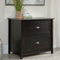 Sauder County Line 2 Drawer Lateral File Cabinet - Image 1 of 8