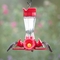 Perky Pet Pinch Waist Glass Hummingbird Feeder 8 oz. - Image 2 of 7