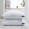 Beautyrest 233tc Cotton Softy Around 95/5 Feather/Down Firm Euro Pillow 2 pk. - Image 1 of 4