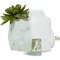 Yankee Candle Succulent ScentPlug Diffuser - Image 3 of 3