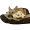 Pets Know Best Huggie Pup Dog Toy - Image 1 of 7