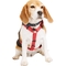 Youly Reflective Adjustable Padded Red Dog Harness, Small - Image 1 of 3