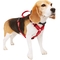 Youly Reflective Adjustable Padded Red Dog Harness, Small - Image 2 of 3
