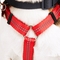 Youly Reflective Adjustable Padded Red Dog Harness, Small - Image 3 of 3