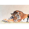 Inkstry Sleeping Tiger Wrapped Giclee Art - Image 1 of 3