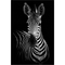 Inkstry Zebra Canvas Wrapped Giclee Art - Image 1 of 3