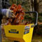 Champion 3 Inch Portable Chipper Shredder with Collection Bag - Image 5 of 8